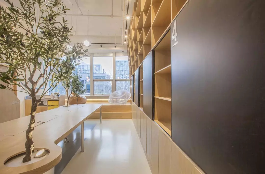 牛在墻上飛，猴子樹梢醉；這是在動(dòng)物園辦公嗎？